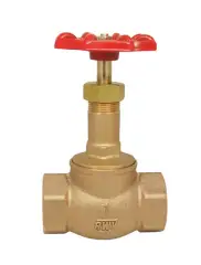 Globe Valves